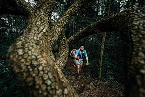 BIB: 
                            <button type="button" onclick="openModal(25700250)" class="btn btn-primary btn-sm float-right btn-popup" data-toggle="modal" data-target=".modal-high-quality">
                        <i class="fas fa-shopping-cart"></i> Add to Cart
                    </button>
                                            <button type="button" onclick="isThisMe(25700250, true)" class="btn btn-success btn-sm float-right btn-popup btn-isme hidden" data-toggle="tooltip" data-placement="bottom" title="นี่คือรูปของคุณใช่ไหม คลิกที่นี่เพื่อเอาเข้าอัลบั้ม">
                        <i class="fas fa-plus"></i> Add to album
                    </button>
                    <button type="button" onclick="isThisMe(25700250, false)" class="btn btn-warning btn-sm float-right btn-popup btn-isnotme hidden">
                        <i class="fas fa-ban"></i> Remove from album
                    </button>